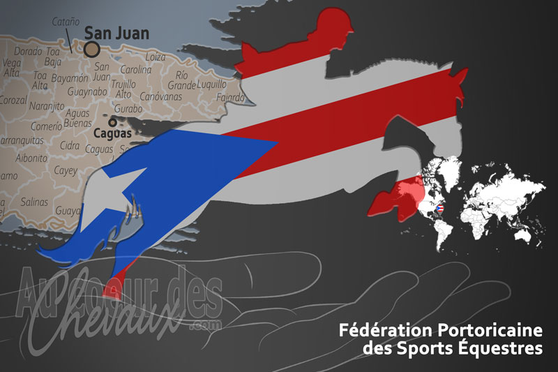 Le drapeau du pays de la F�d�ration �questre de Porto Rico