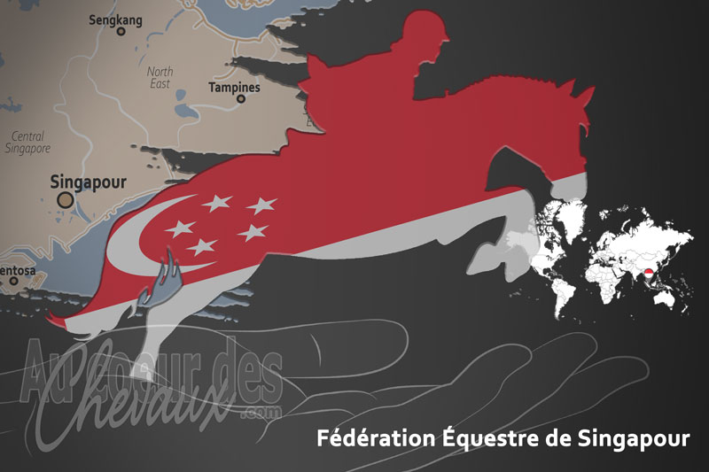 La F�d�ration �questre de Singapour, le moteur du d�veloppement de l'�quitation � singapour