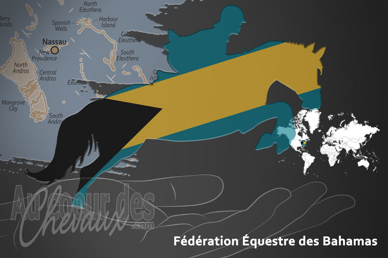 La F�d�ration �questre des Bahamas, le moteur du d�veloppement de l'�quitation aux bahamas