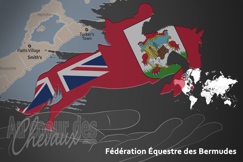 La F�d�ration �questre des Bermudes, le moteur du d�veloppement de l'�quitation aux bermudes