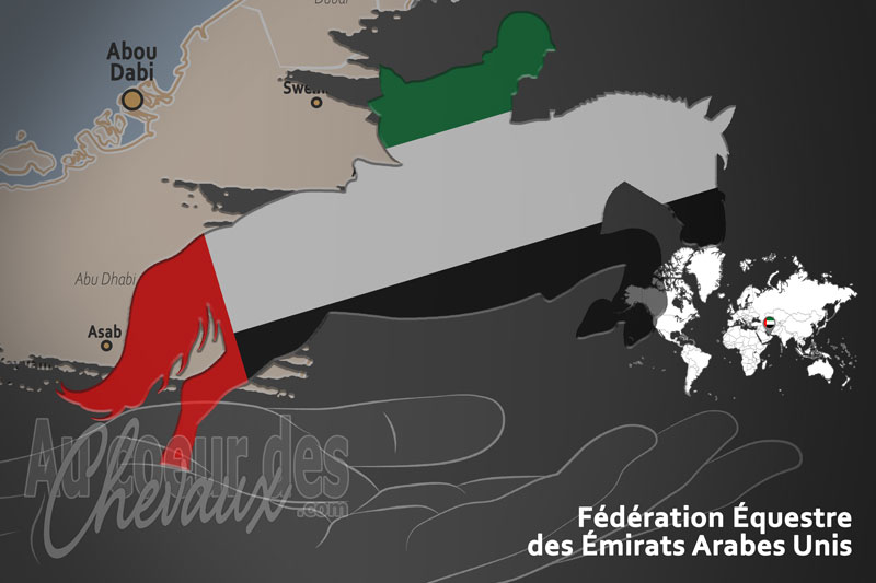 La F�d�ration �questre des �mirats Arabes Unis, le moteur du d�veloppement de l'�quitation aux �mirats arabes unis