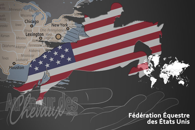 La F�d�ration �questre des �tats Unis, le moteur du d�veloppement de l'�quitation aux �tats unis