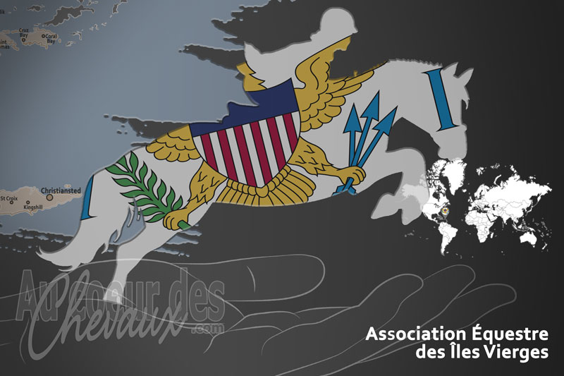 L'Association �questre des �les Vierges, le moteur du d�veloppement de l'�quitation aux �les vierges aux �tats unis