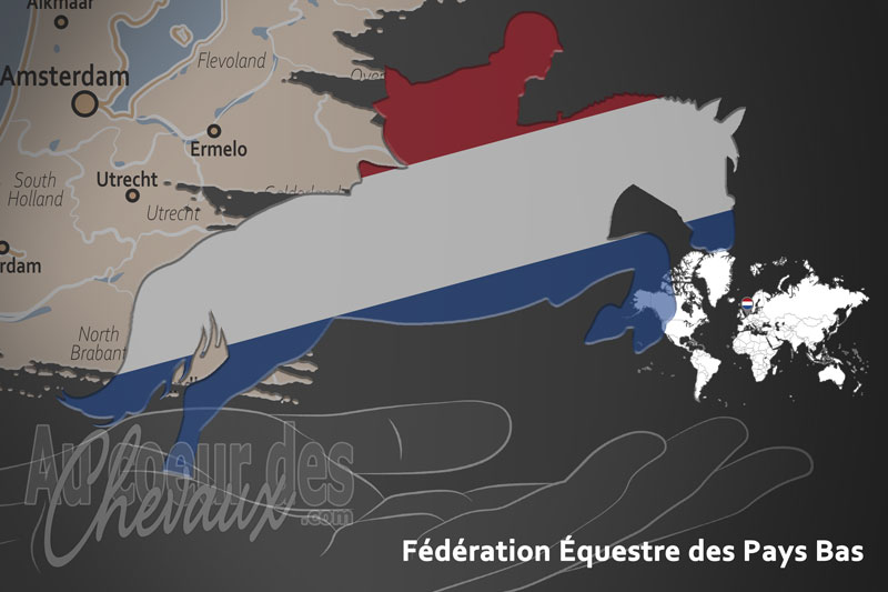 Le drapeau de l'organisation de la F�d�ration �questre des Pays Bas