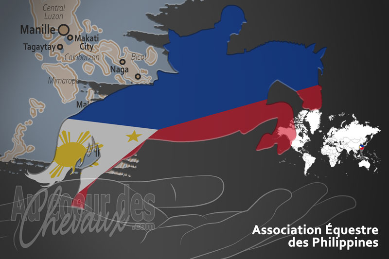 L'Association �questre des Philippines, le moteur du d�veloppement de l'�quitation aux philippines