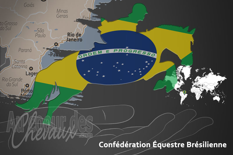 La Conf�d�ration �questre Br�silienne, le moteur du d�veloppement de l'�quitation au br�sil
