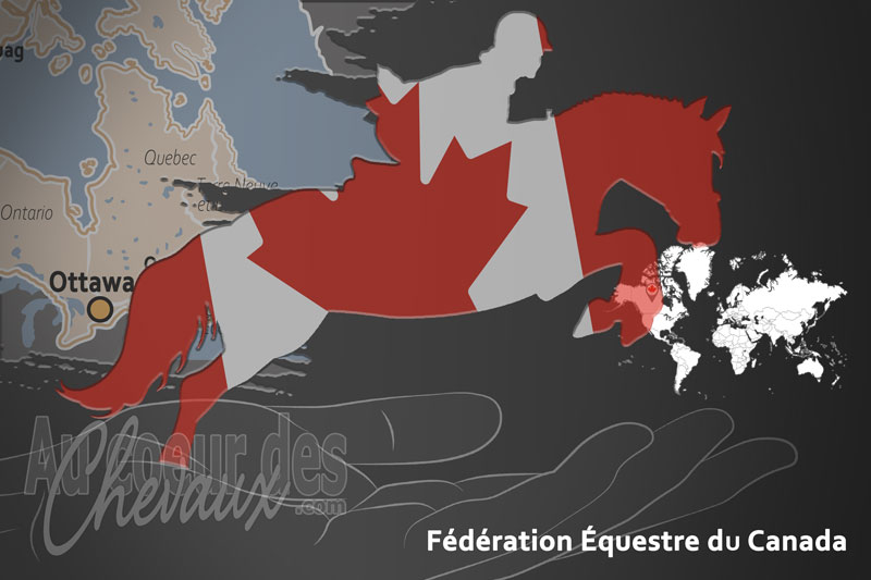 Le drapeau de l'organisation de la F�d�ration �questre du Canada