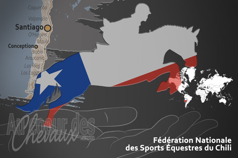 La F�d�ration Nationale des Sports �questres du Chili, le moteur du d�veloppement de l'�quitation au chili