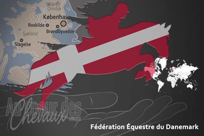 Le drapeau de l'organisation de la F�d�ration �questre du Danemark