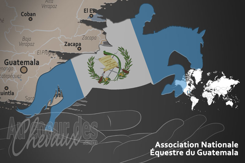 L'Association Nationale �questre du Guatemala, le moteur du d�veloppement de l'�quitation au guatemala