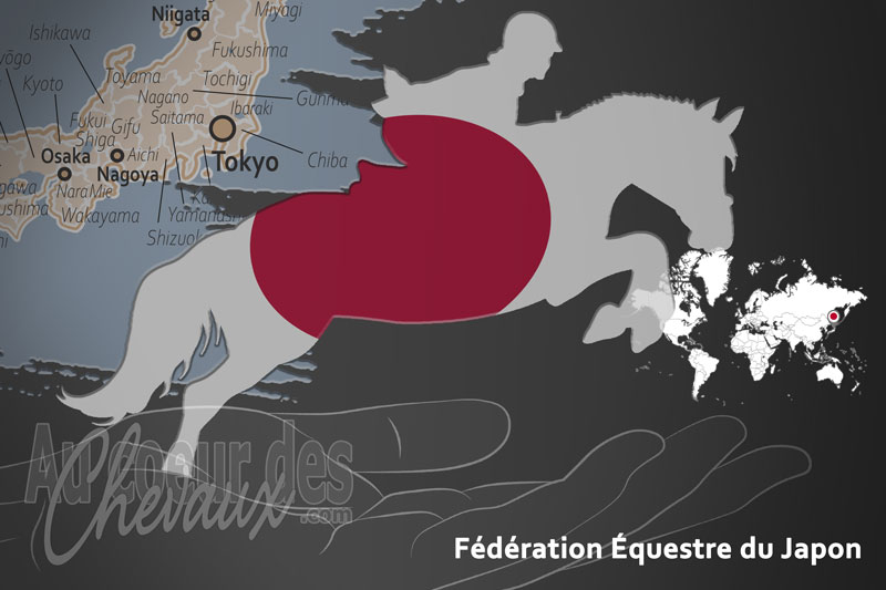 Le drapeau du pays de la F�d�ration �questre du Japon