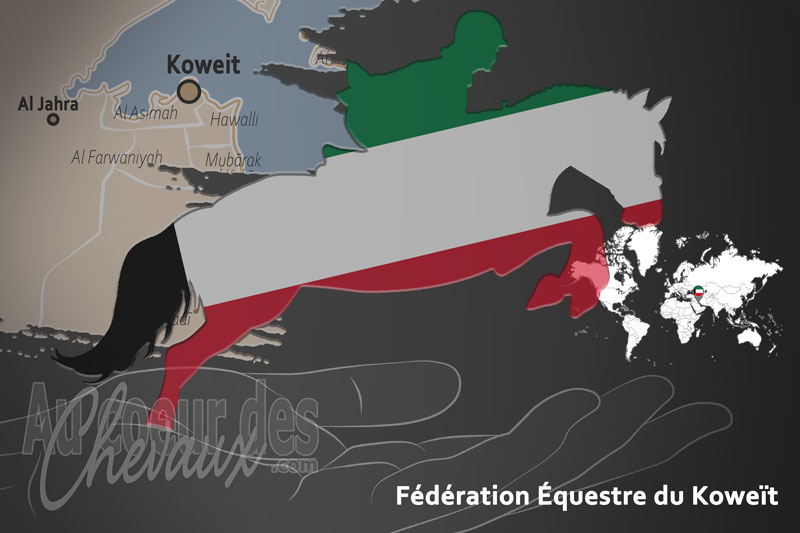 Le drapeau du pays de la F�d�ration �questre du Kowe�t