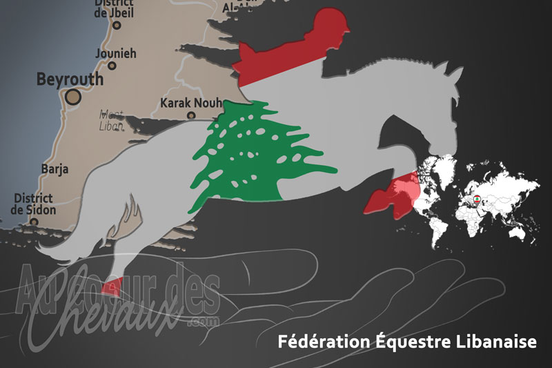Le drapeau du pays de la F�d�ration �questre du Liban