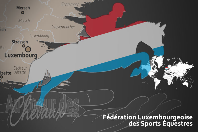 Le drapeau du pays de la F�d�ration �questre du Luxembourg