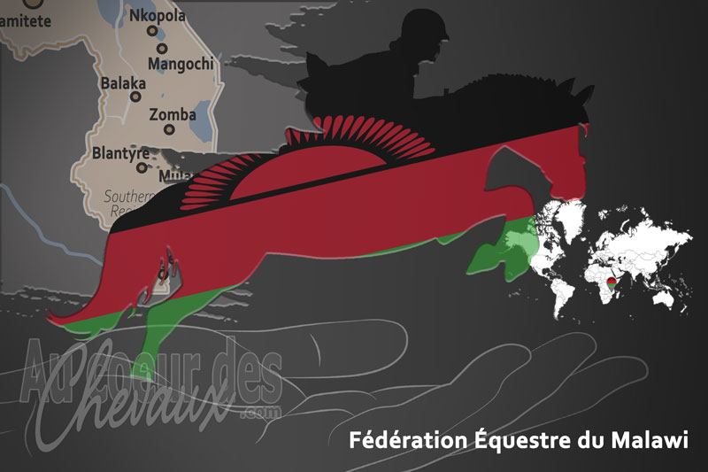 Le drapeau du pays de la F�d�ration �questre du Malawi