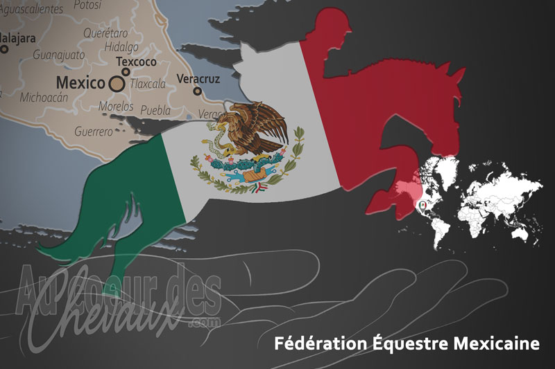 Le drapeau du pays de la F�d�ration �questre du Mexique