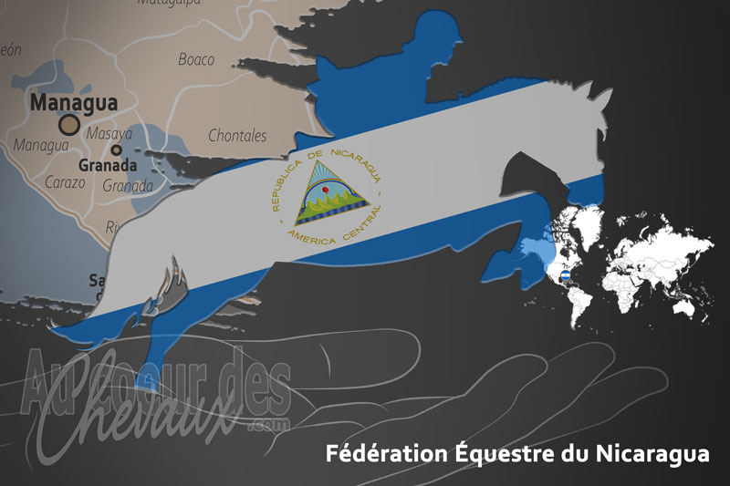 Le drapeau du pays de la F�d�ration �questre du Nicaragua