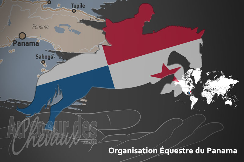L'Organisation �questre du Panama, le moteur du d�veloppement de l'�quitation au panama