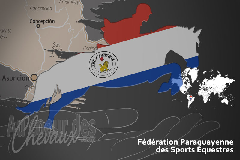 Le drapeau du pays de la F�d�ration �questre du Paraguay