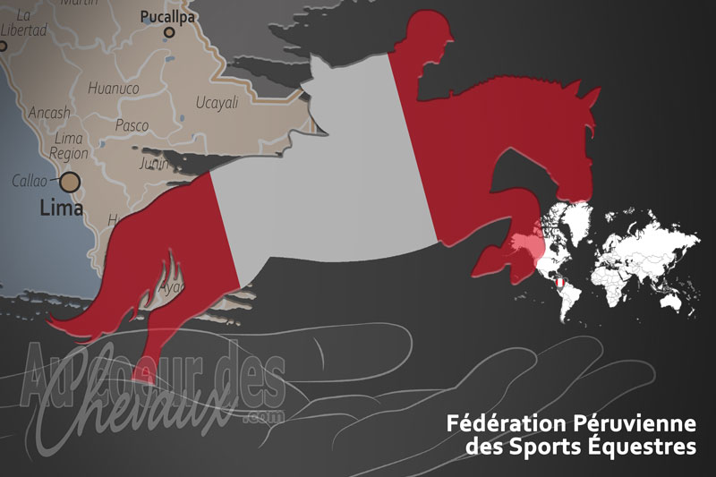 La F�d�ration P�ruvienne des Sports �questres, un organisme de gestion de race de chevaux au P�rou
