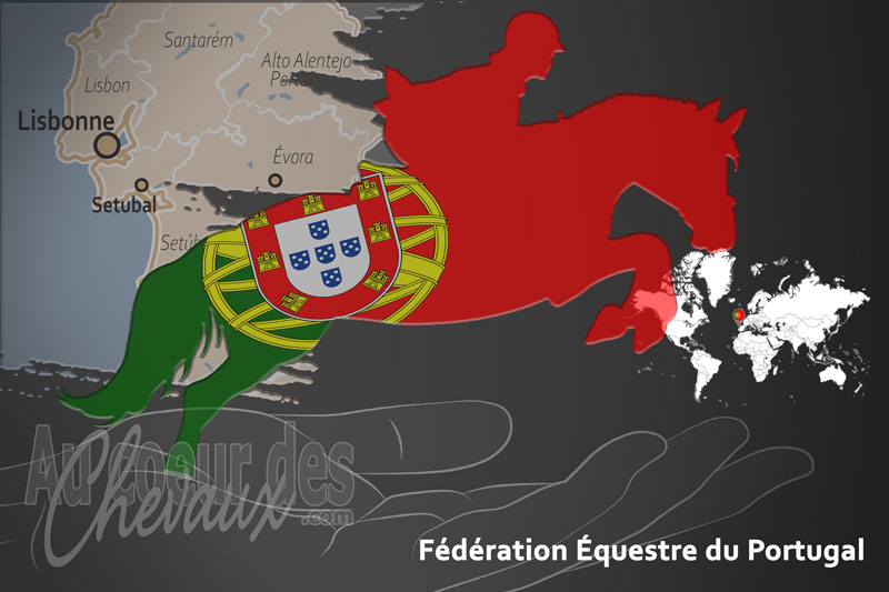 La F�d�ration �questre du Portugal, un organisme de gestion de race de chevaux au Portugal