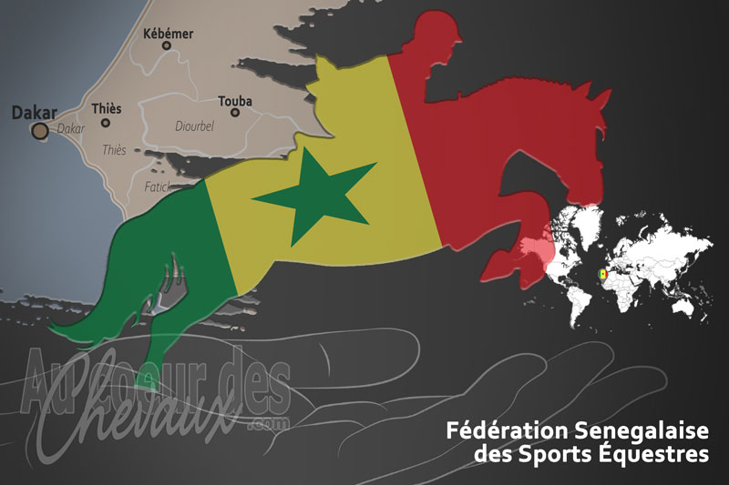Le drapeau du pays de la F�d�ration �questre du S�n�gal