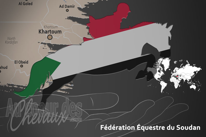 Le drapeau du pays de la F�d�ration �questre du Soudan