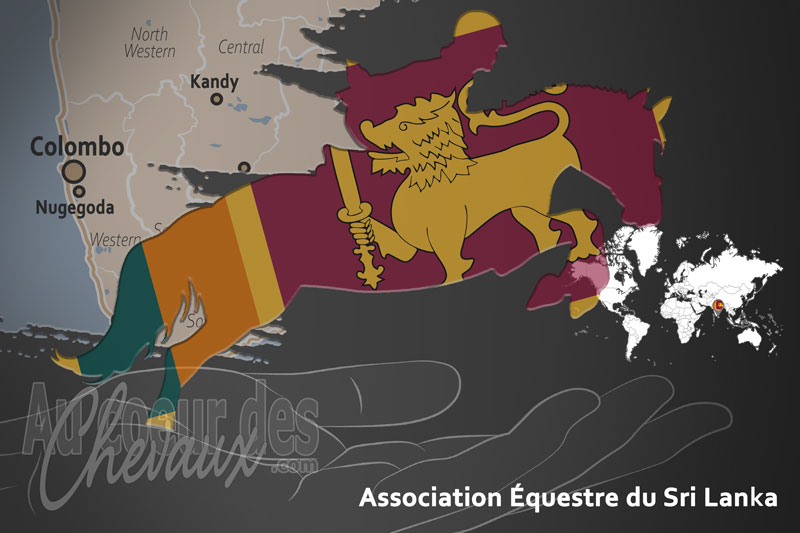 L'Association �questre du Sri Lanka, le moteur du d�veloppement de l'�quitation au sri lanka