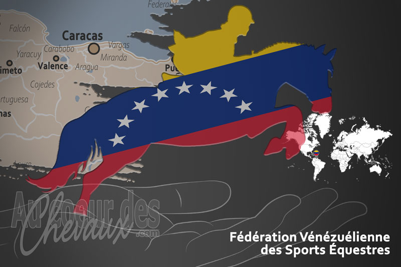 Le drapeau de l'organisation de la F�d�ration V�n�zu�lienne des Sports �questres au Venezuela