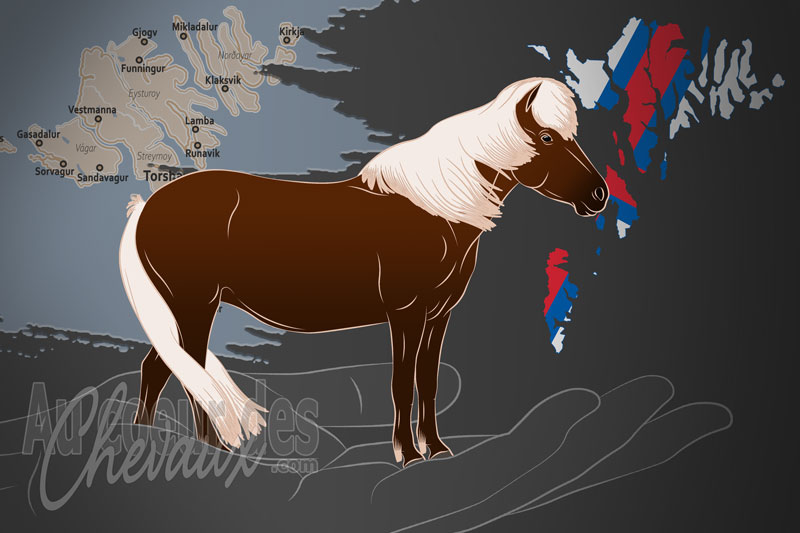 Les �leveurs de Poneys F�ro�, un organisme de gestion du f�ro� aux �les du m�me nom