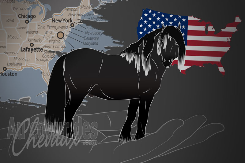 Les �leveurs du Poney Fell en Am�rique du Nord, une organisation qui g�re le poney fell aux �tats unis