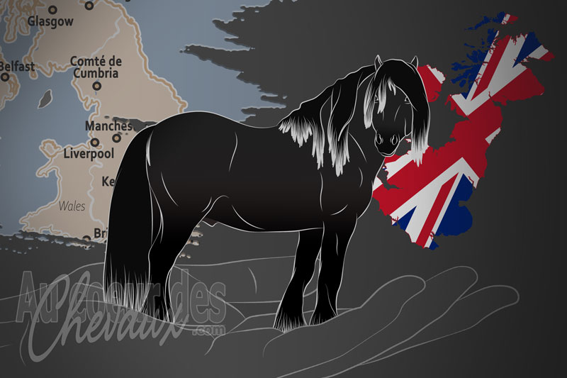La Soci�t� des Poneys Fell, une organisation qui g�re le poney fell au royaume uni