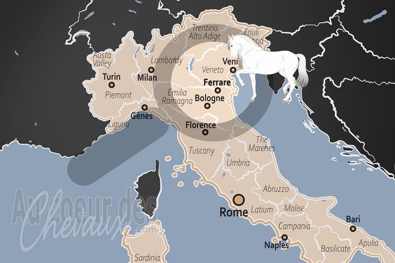 Ferrare, un h�ritage �questre entre renaissance et delta du p�