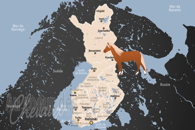 La Finlande, entre tradition nordique et passion pour le trot