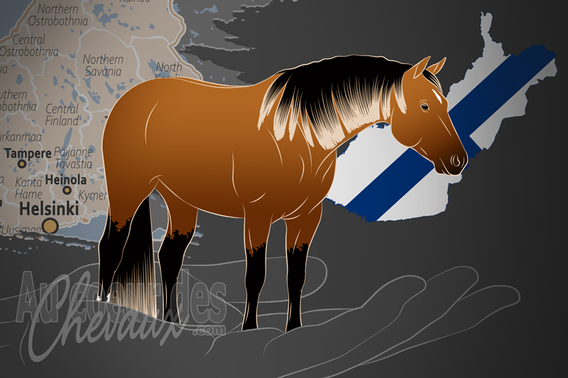 La Finnish Quarter Horse Association un organisme de race en Finlande