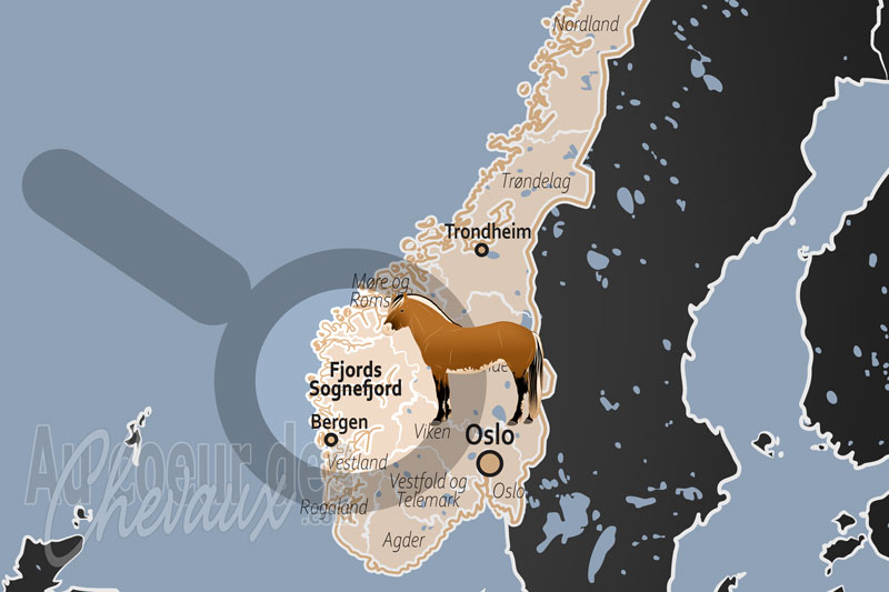 Les Fjords, le galop mill�naire des chevaux de glace et de soie
