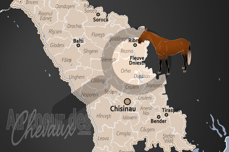 Le Fleuve Dniestr, le galop des crins sur le ruban d'argent de l'est
