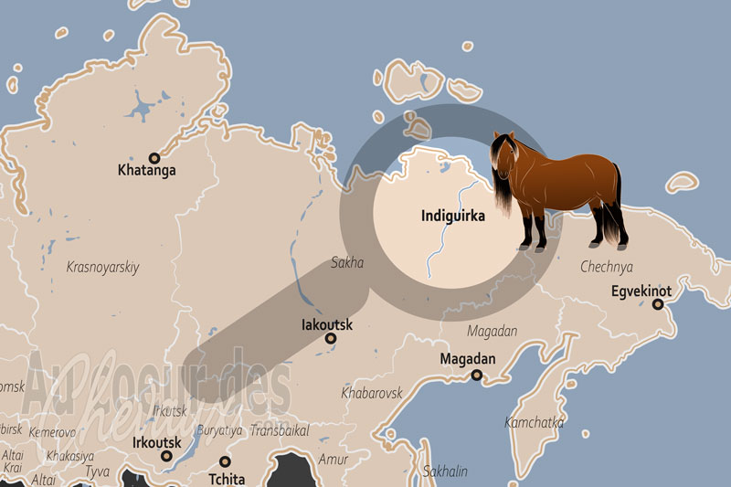 Le Fleuve Indiguirka, le galop des glaces au royaume de l'�ternel hiver