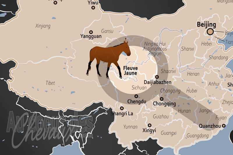 Le Fleuve Jaune, l'odyss�e mill�naire du sabot au berceau de la chine