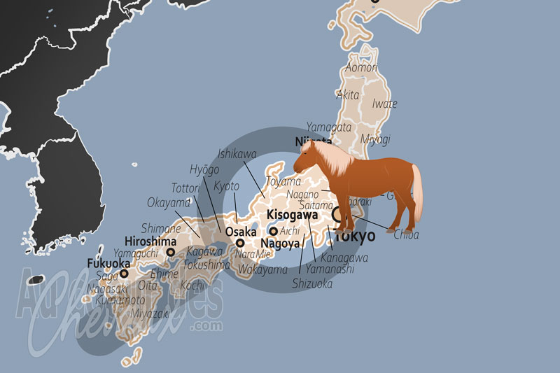 Le Fleuve Kiso, le galop des samoura�s au pied des alpes japonaises