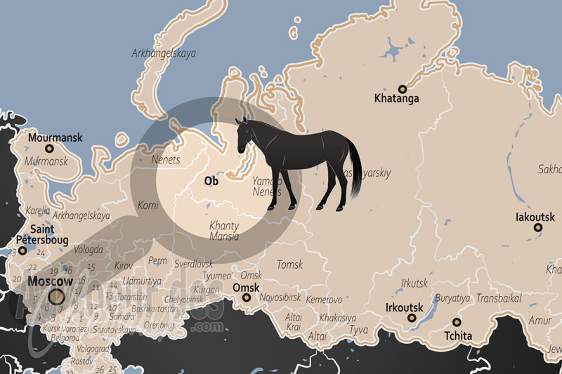 Le Fleuve Ob, l'�pop�e des crins d'acier sur la plaine infinie de sib�rie