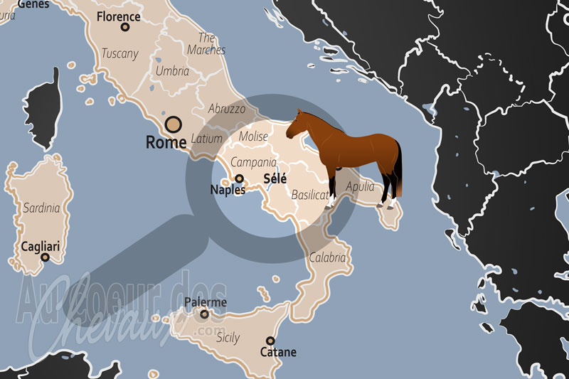 Le Fleuve S�l�, le galop des rois dans la plaine de paestum