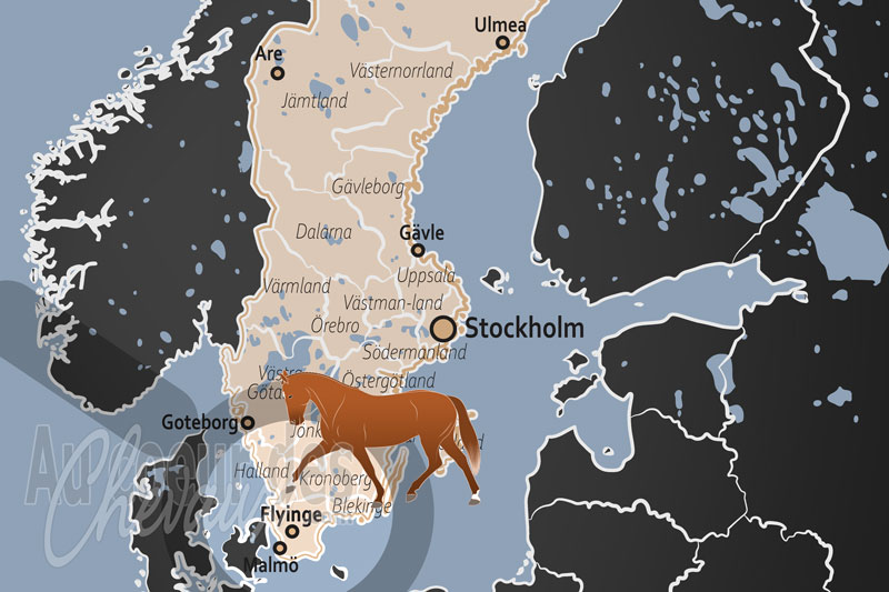 La localisation de Flyinge en Su�de