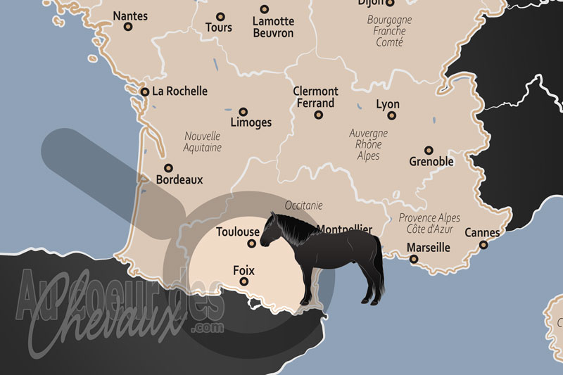 La localisation de Foix en France