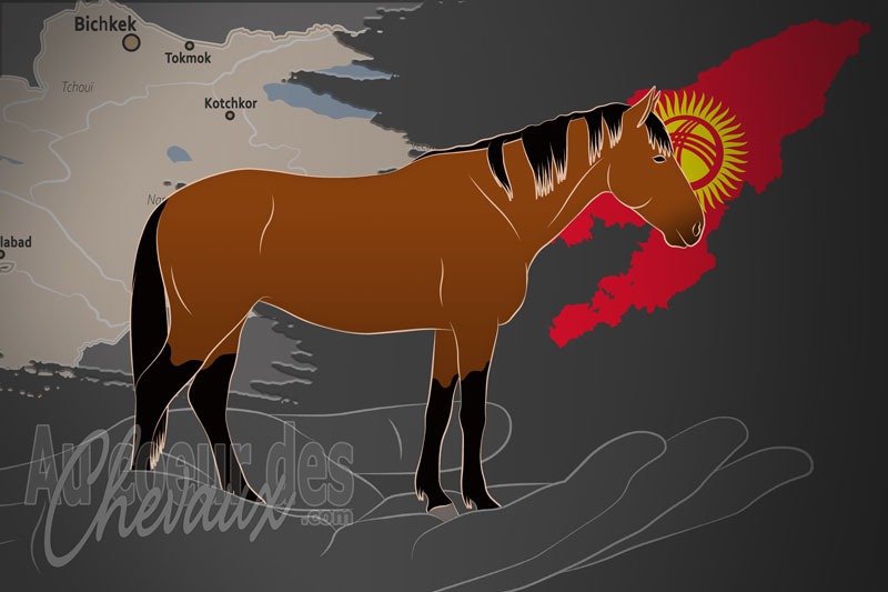 La Fondation Kyrgyz Ate un organisme de race au Kirghizistan