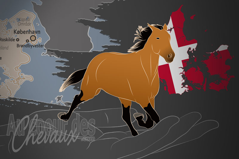 La Foreningen Af Travopdr�ttere I Danmark un organisme de race au Danemark