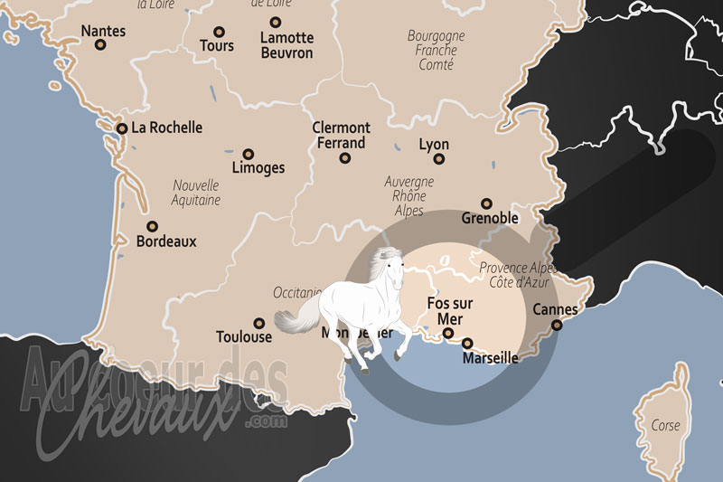 Fos sur Mer, le cheval au c?ur d'un territoire de contrastes