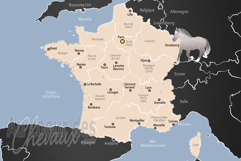La France, une passion nationale et un patrimoine d'excellence