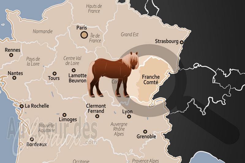 La localisation dans le pays de la R�gion Historique de la Franche Comt� en France