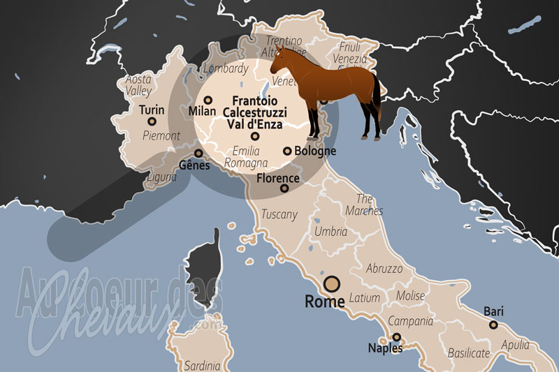 La localisation de Frantoio Calcestruzzi Val d'Enza en Italie